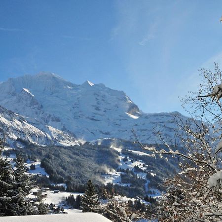 Apartment Bergfrieden By Interhome Wengen Exterior photo